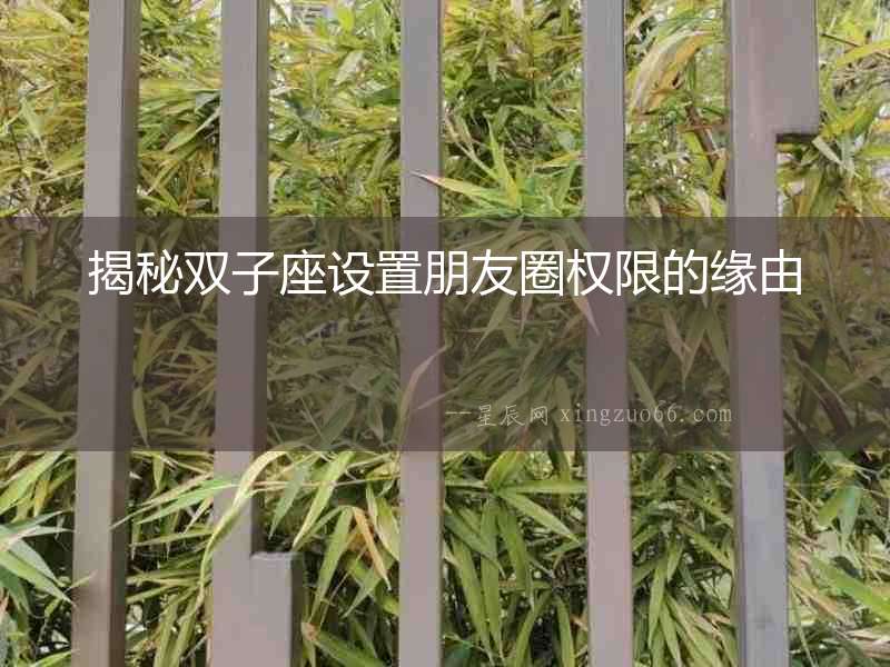 揭秘雙子座設(shè)置朋友圈權(quán)限的緣由