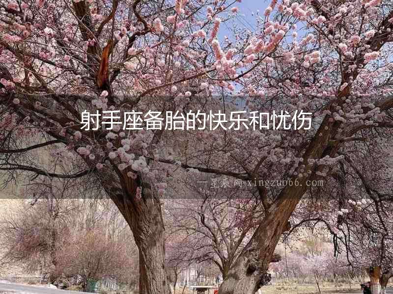 射手座備胎的快樂和憂傷