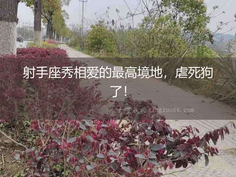 射手座秀相愛的最高境地，虐死狗了！