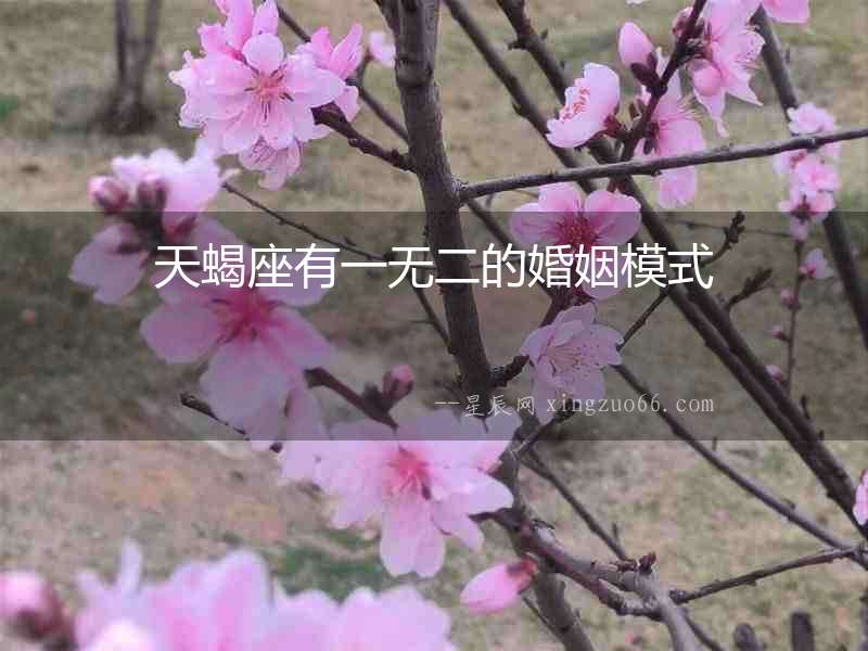天蝎座有一無二的婚姻模式