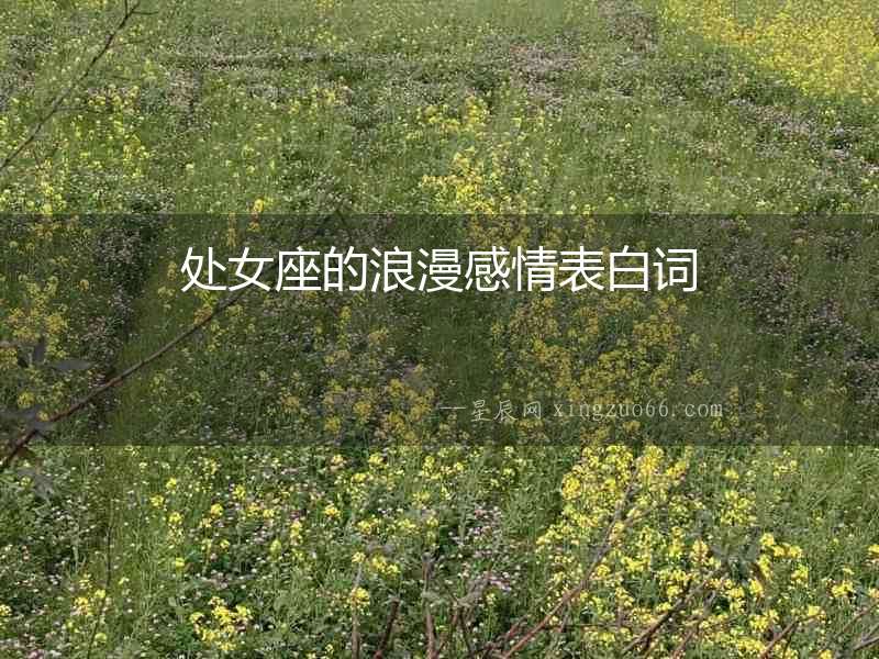 處女座的浪漫感情表白詞