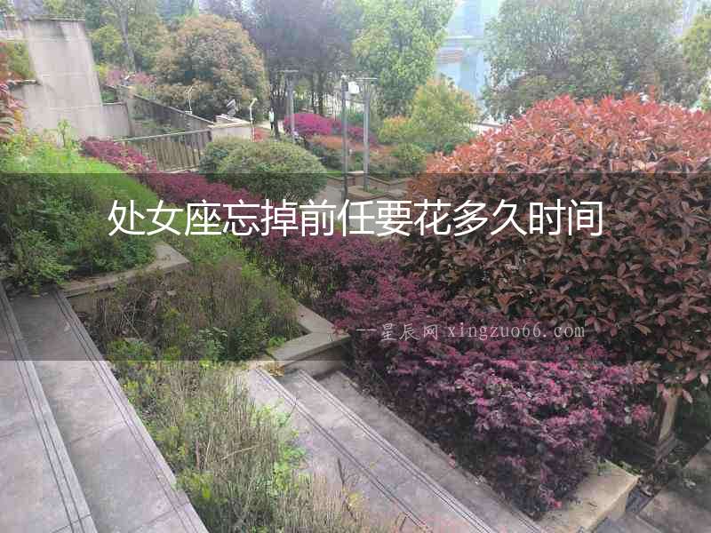 處女座忘掉前任要花多久時(shí)間