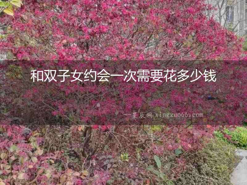 和雙子女約會(huì)一次需要花多少錢