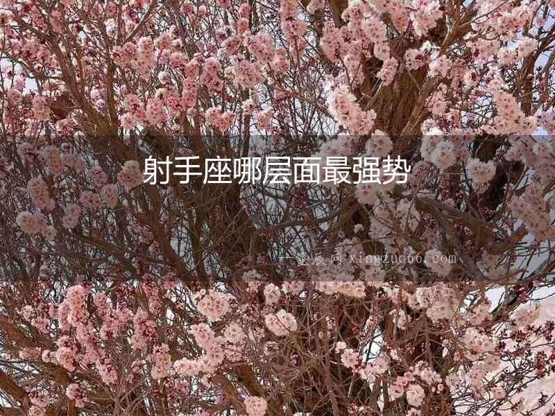 射手座哪層面最強勢
