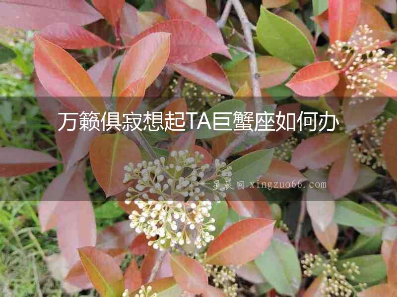 萬籟俱寂想起TA巨蟹座如何辦