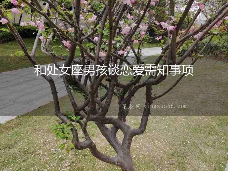 和處女座男孩談戀愛需知事項