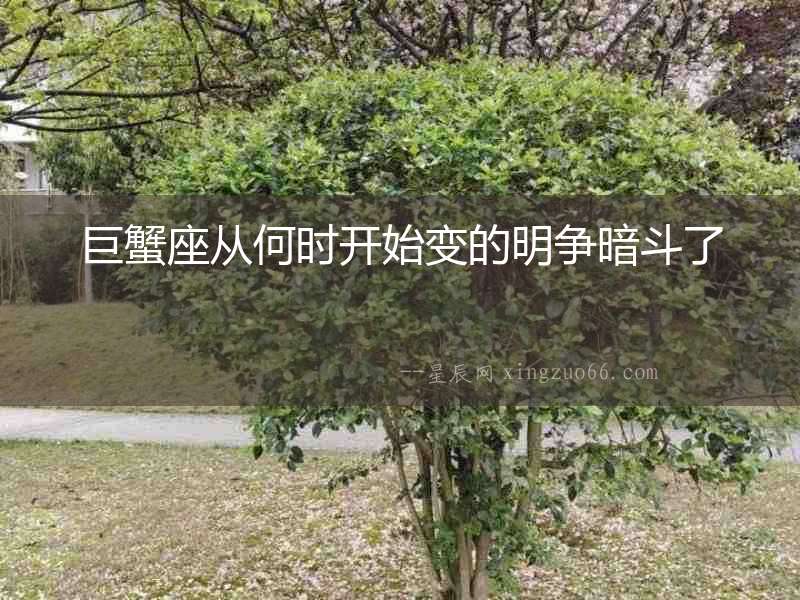 巨蟹座從何時開始變的明爭暗斗了