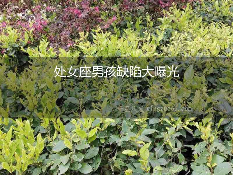 處女座男孩缺陷大曝光