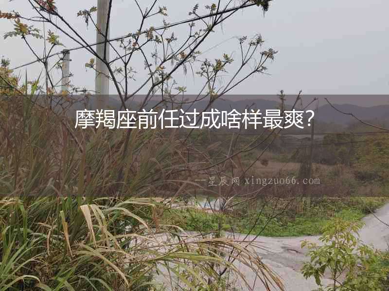 摩羯座前任過成啥樣最爽？