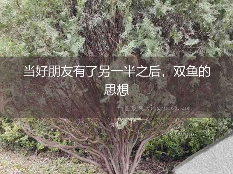 當好朋友有了另一半之后，雙魚的思想