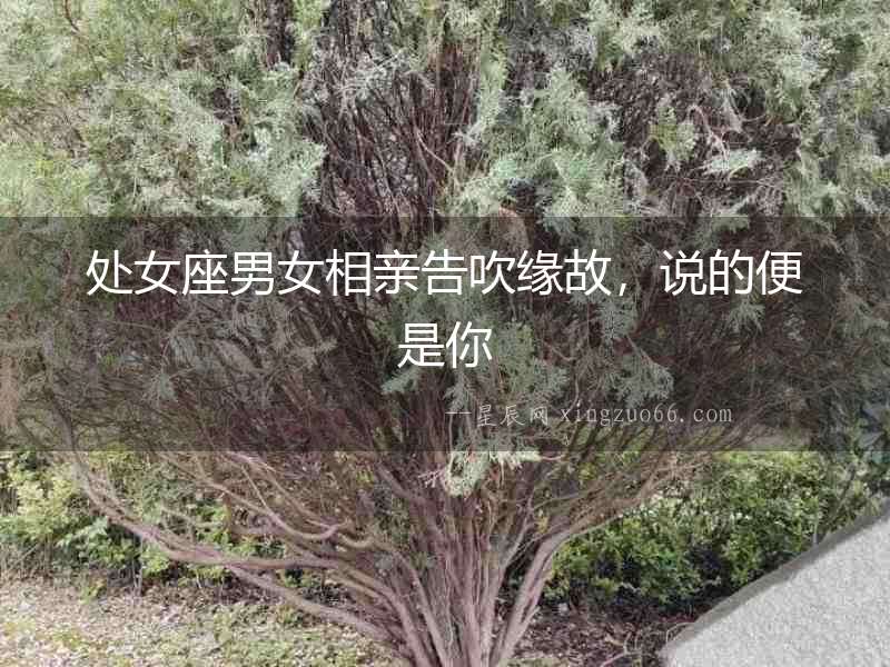 處女座男女相親告吹緣故，說的便是你