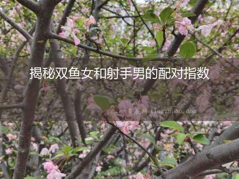 揭秘雙魚(yú)女和射手男的配對(duì)指數(shù)