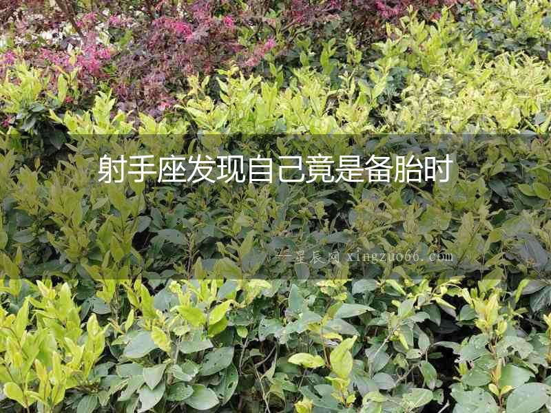 射手座發(fā)現(xiàn)自己竟是備胎時