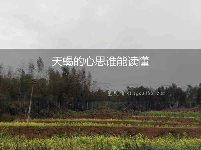 天蝎的心思誰能讀懂
