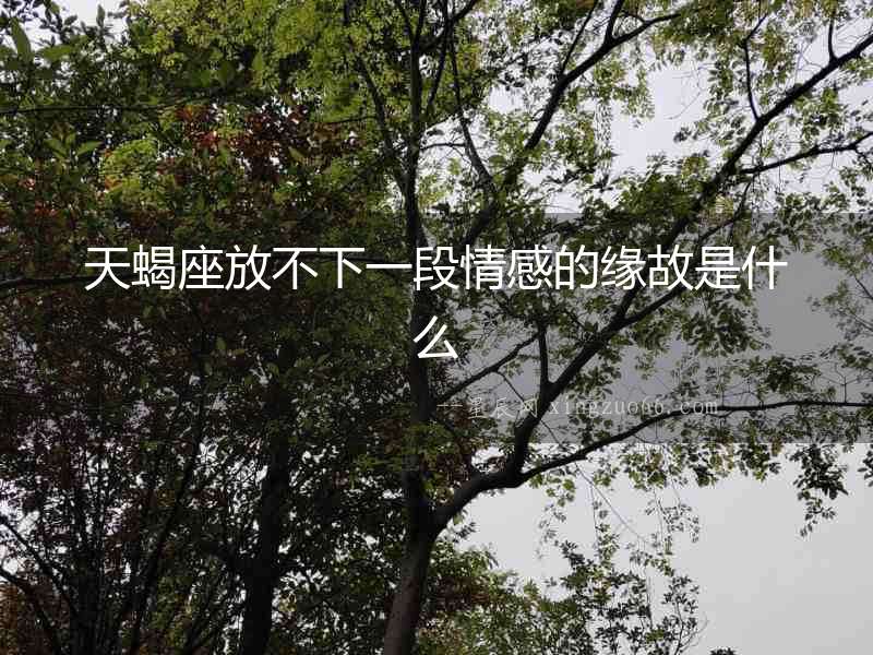 天蝎座放不下一段情感的緣故是什么