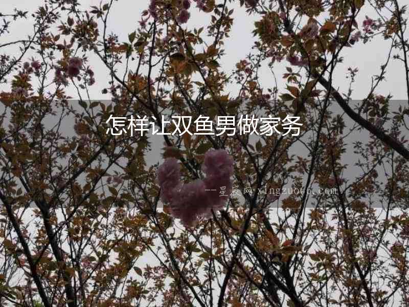 怎樣讓雙魚男做家務