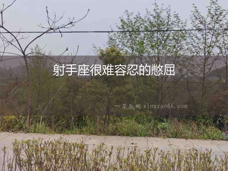 射手座很難容忍的憋屈