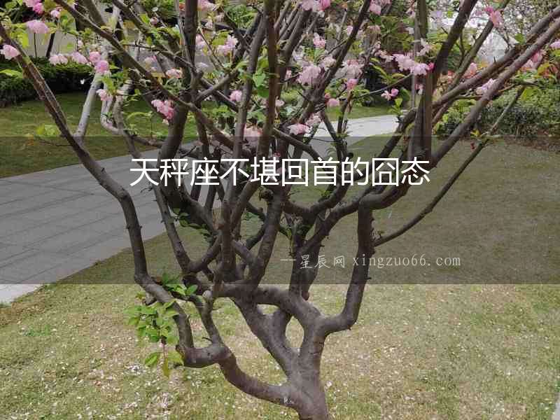 天秤座不堪回首的囧態(tài)