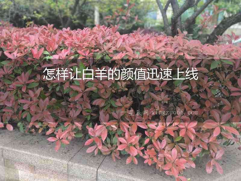 怎樣讓白羊的顏值迅速上線