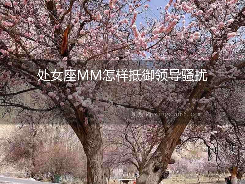 處女座MM怎樣抵御領導騷擾