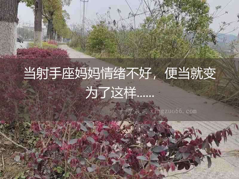 當射手座媽媽情緒不好，便當就變為了這樣......
