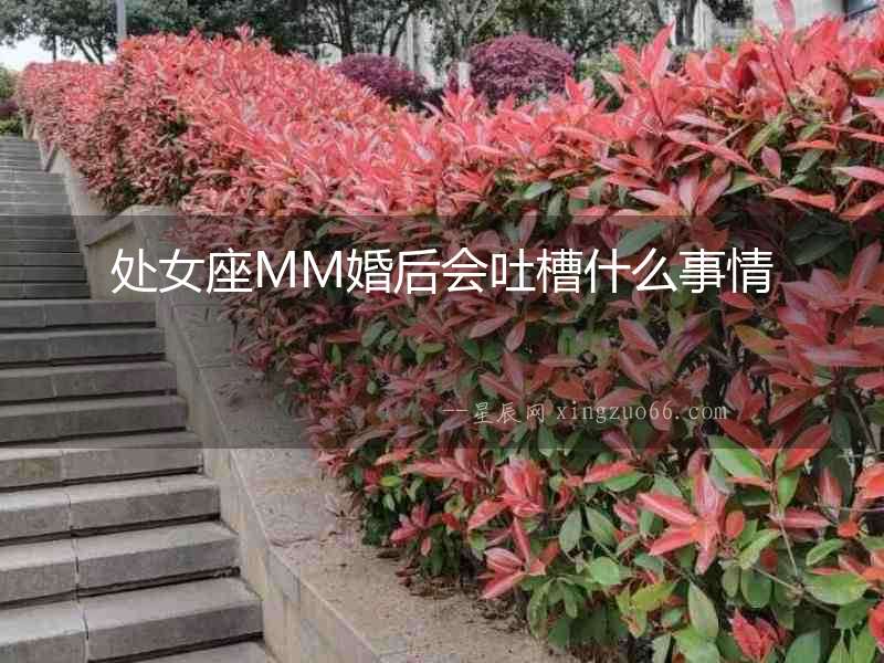 處女座MM婚后會吐槽什么事情