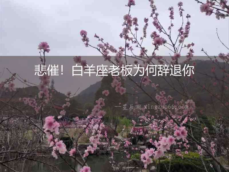 悲催！白羊座老板為何辭退你