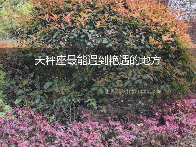 天秤座最能遇到艷遇的地方