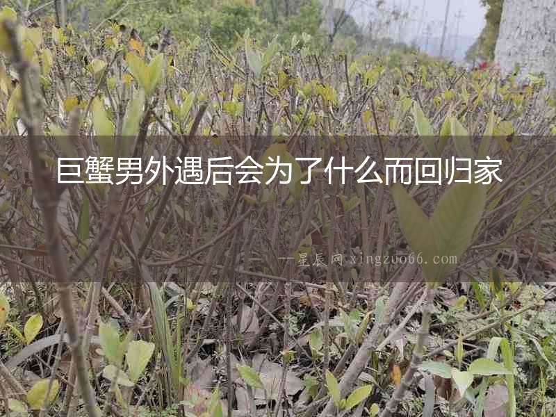 巨蟹男外遇后會為了什么而回歸家