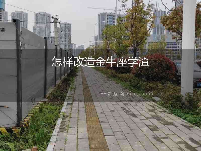 怎樣改造金牛座學渣