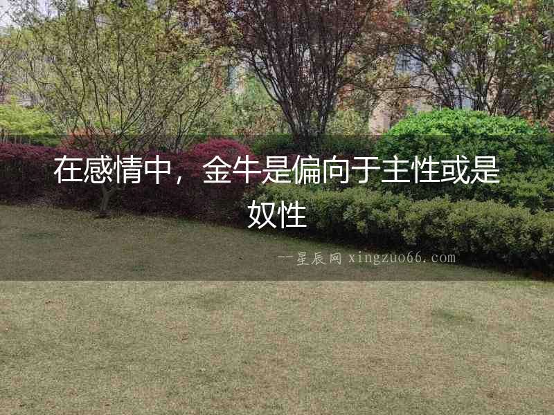 在感情中，金牛是偏向于主性或是奴性