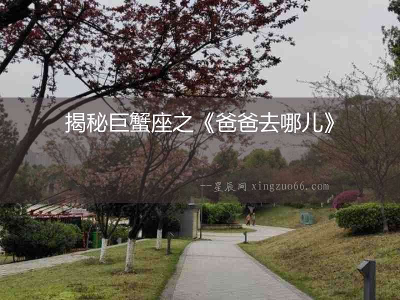 揭秘巨蟹座之《爸爸去哪兒》
