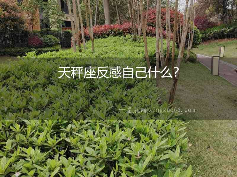 天秤座反感自己什么？