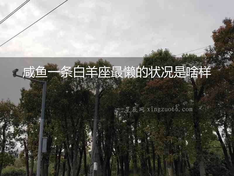 咸魚(yú)一條白羊座最懶的狀況是啥樣