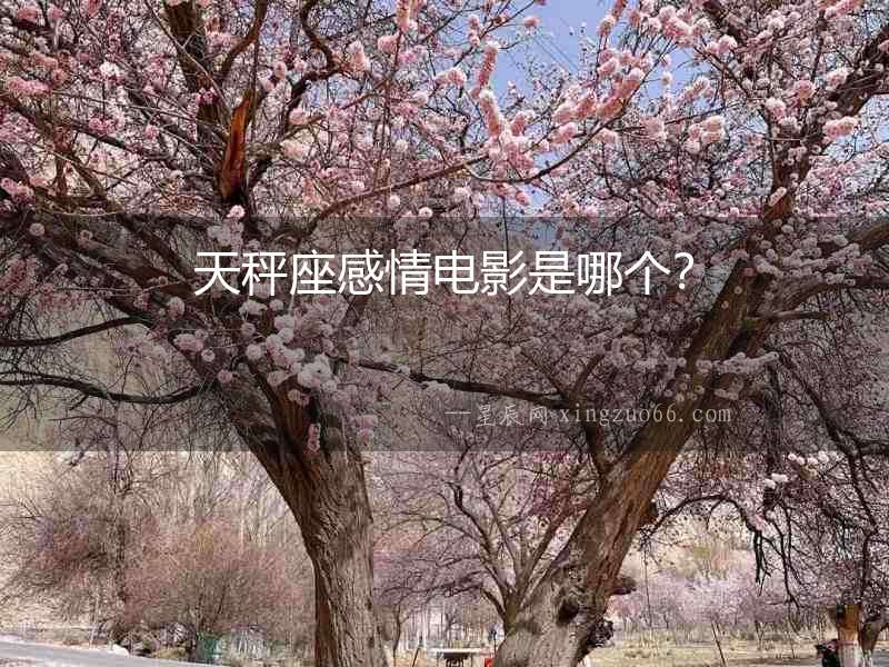 天秤座感情電影是哪個？