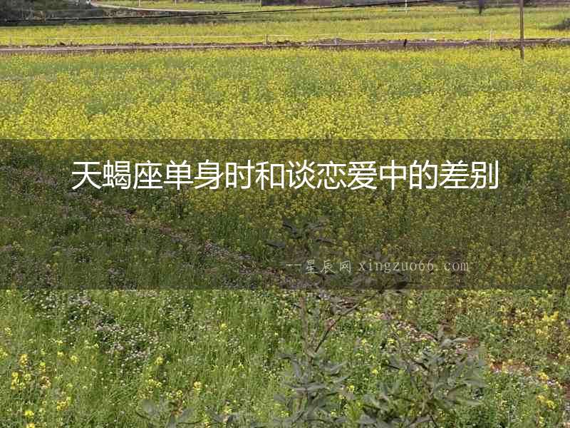 天蝎座單身時和談戀愛中的差別