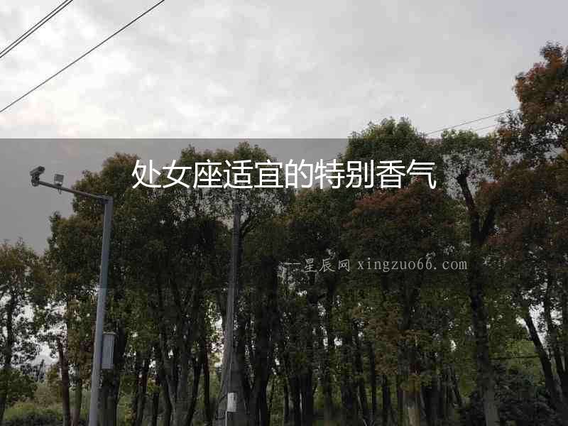 處女座適宜的特別香氣