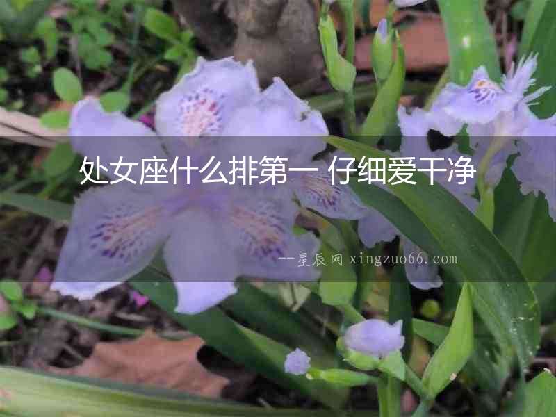 處女座什么排第一 仔細愛干凈
