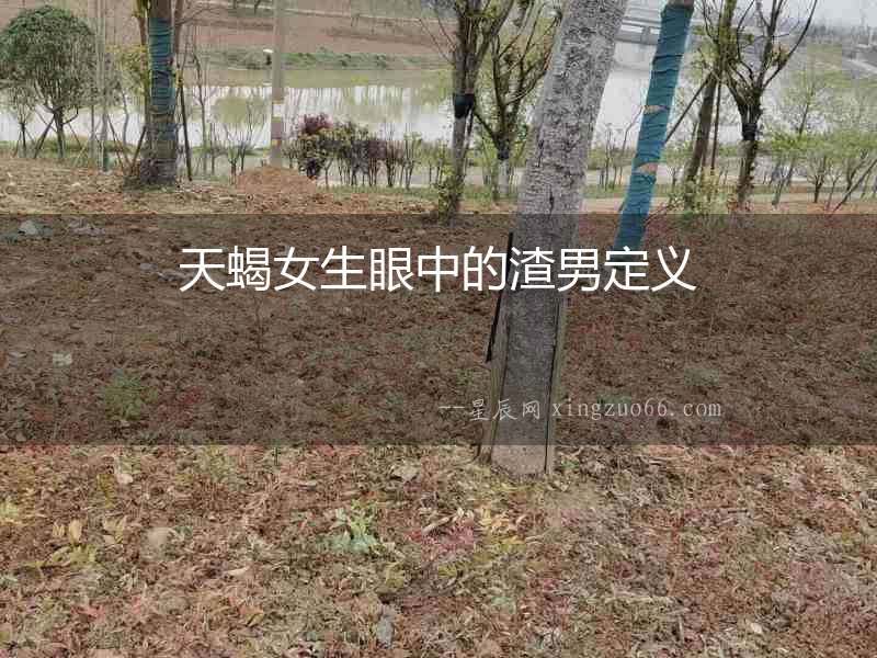 天蝎女生眼中的渣男定義