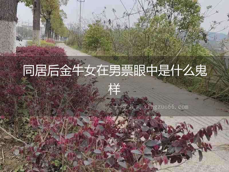 同居后金牛女在男票眼中是什么鬼樣