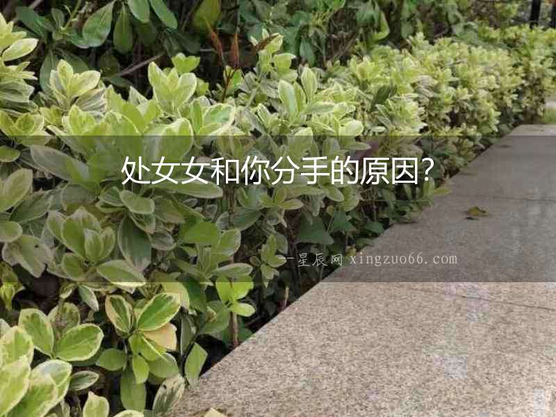 處女女和你分手的原因？
