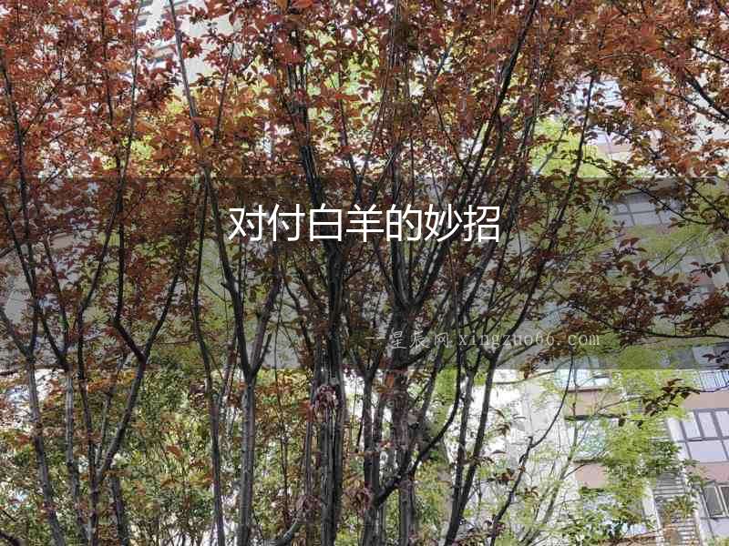 對付白羊的妙招
