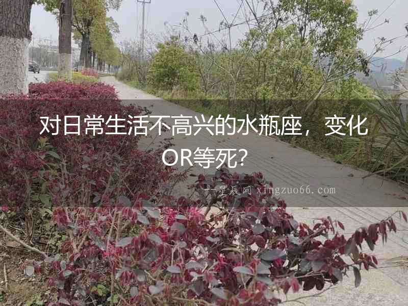 對日常生活不高興的水瓶座，變化OR等死？