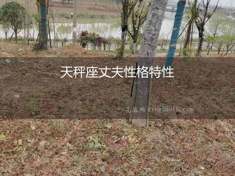 天秤座丈夫性格特性