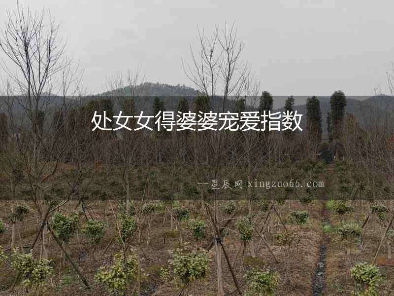 處女女得婆婆寵愛(ài)指數(shù)