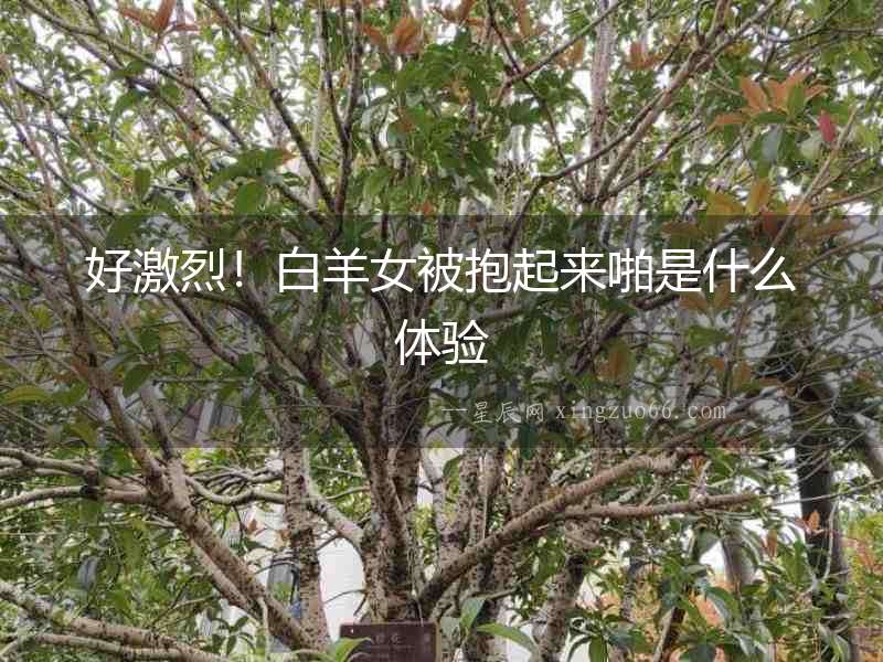 好激烈！白羊女被抱起來啪是什么體驗