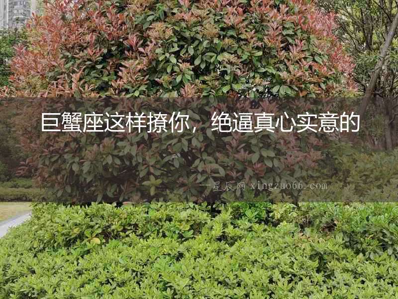 巨蟹座這樣撩你，絕逼真心實意的