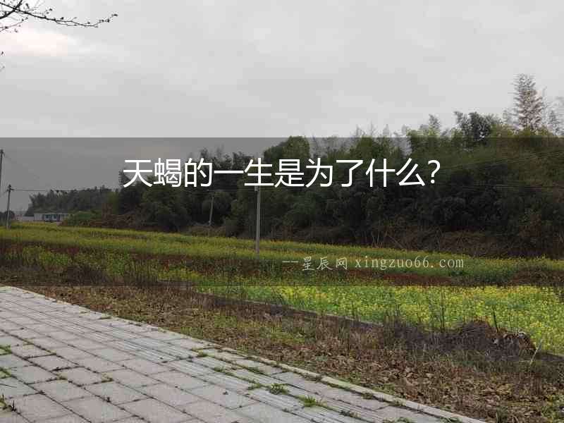 天蝎的一生是為了什么？