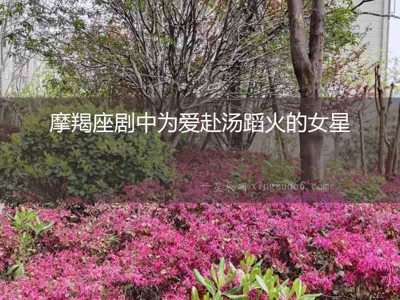 摩羯座劇中為愛赴湯蹈火的女星