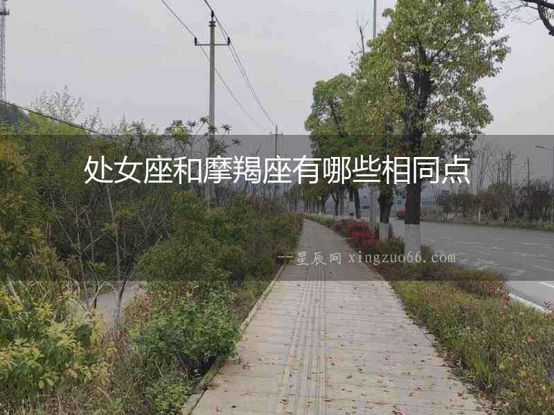 處女座和摩羯座有哪些相同點